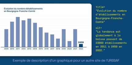 exemple de description d'un graphique dans les balises alt et title sur le site de l'ursaff avec une bonne accessibilité exemple de description d'un graphique dans les balises alt et title sur le site de l'ursaff avec une bonne accessibilité